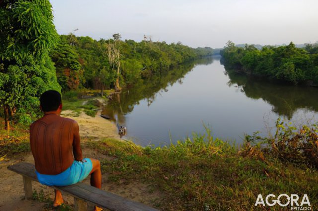 Justiça determina saída de invasores de terra indígena no Pará 