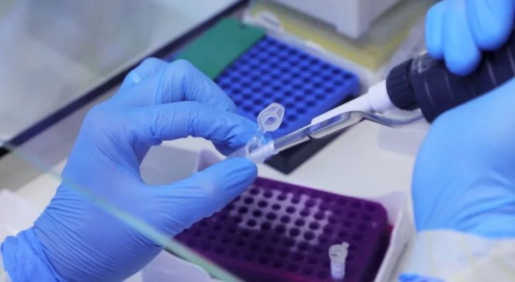 Rio de Janeiro confirma primeiro caso da varíola dos macacos; foram confirmados cinco casos país